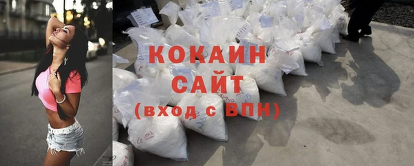 индика Наволоки