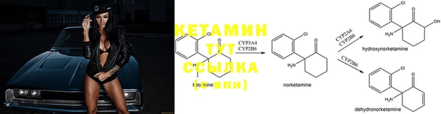 крисы Навашино