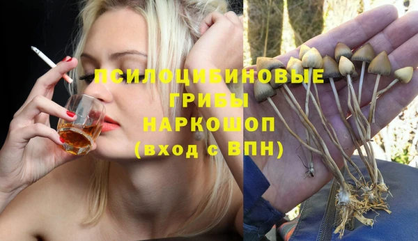 индика Наволоки