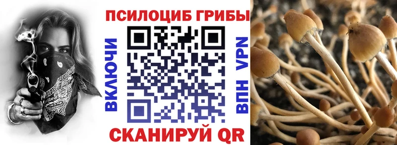 Галлюциногенные грибы MAGIC MUSHROOMS Духовщина