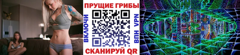наркотики Духовщина даркнет состав Псилоцибиновые грибы MAGIC MUSHROOMS